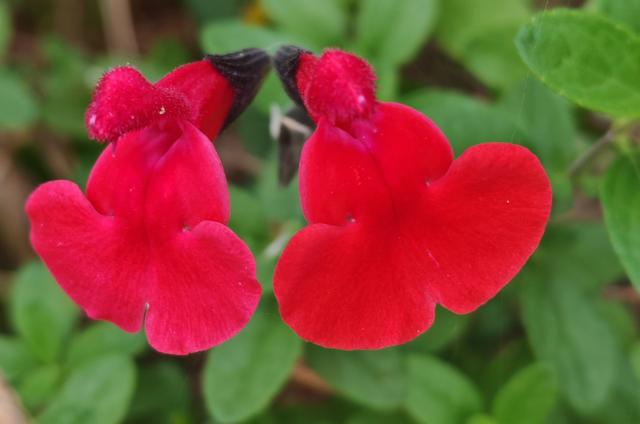 繁花似锦的秋天