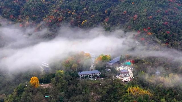 秋日限定 | 两当：把秦岭秋韵装进红叶里