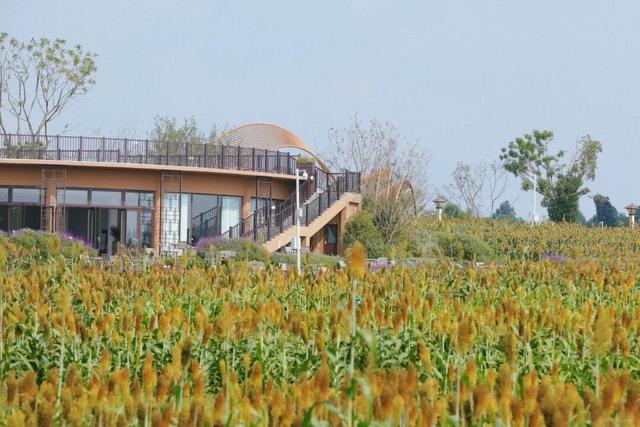 又有景区“升咖”了