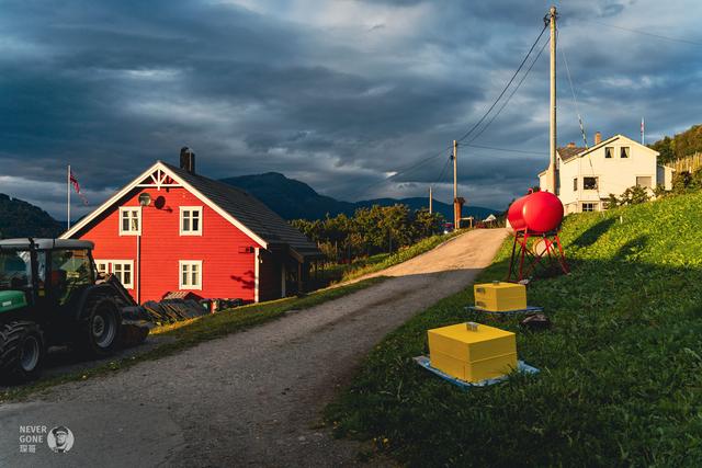 挪威秋韵，峡湾森境