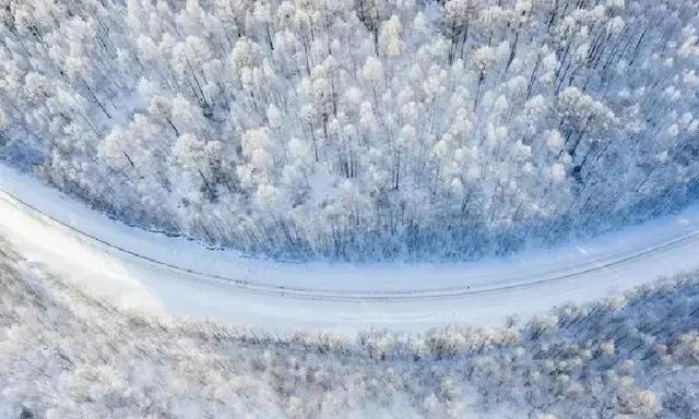 今年冬至十年难遇，冬至在月头，春节单衣过，2026年春节会冷吗