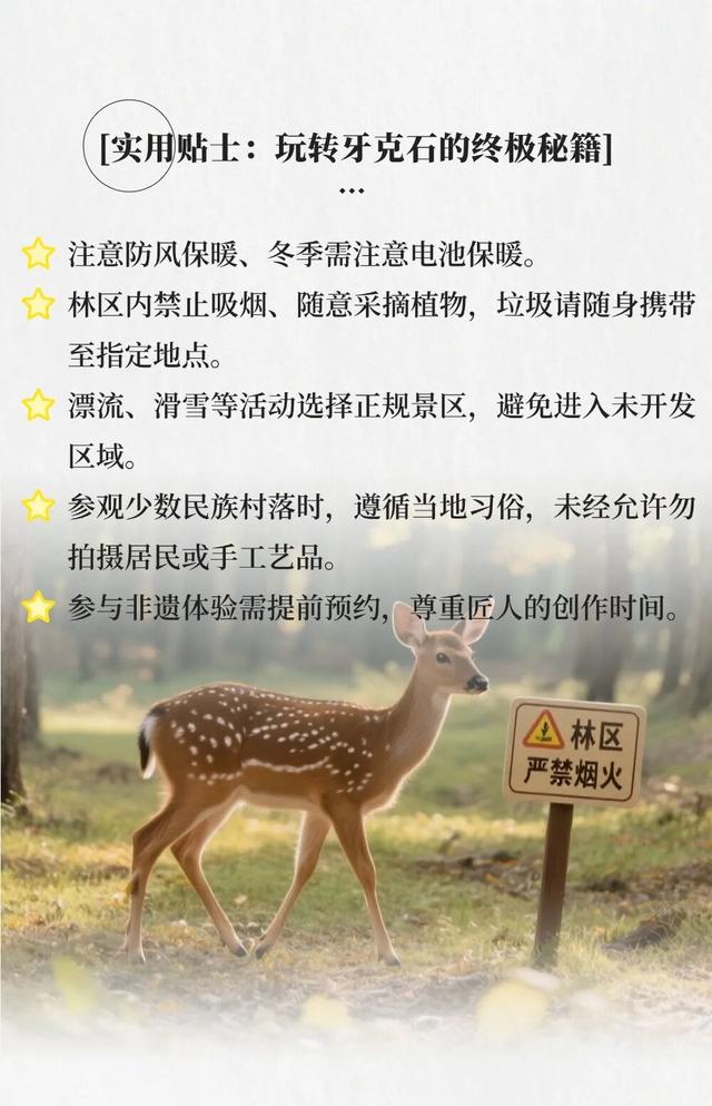 金秋来牙克石 在大兴安岭腹地拥抱自然与诗意......