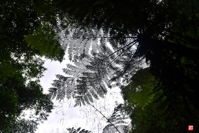 赤水四洞沟瀑布