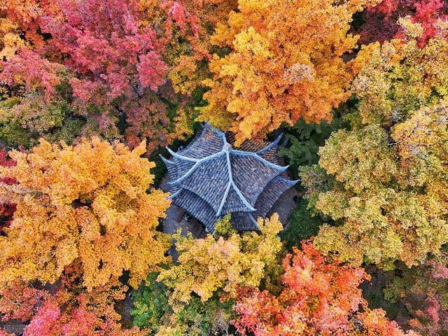 12月适合去的7个旅行地，美景交织，色彩鲜艳的明媚冬日