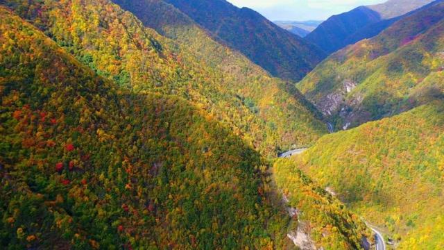 兰仓秋，染山河。