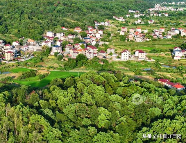 泰和：生态田园风景如画