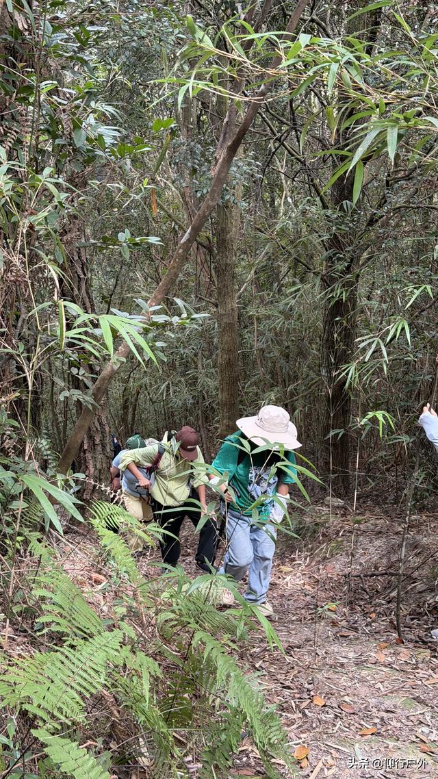 永定奥杳梯田穿越九十九岽徒步