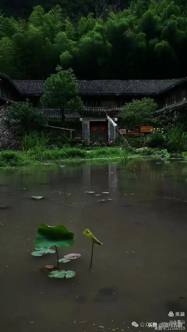 这座温州最具桃源的古村,避暑佳地,你可去过?