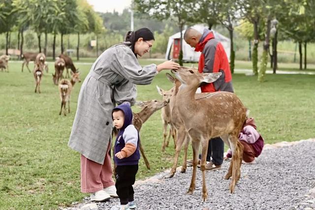 即将进入“高铁时代”的宝藏小城！三十六计，风味人间，爱了爱了……