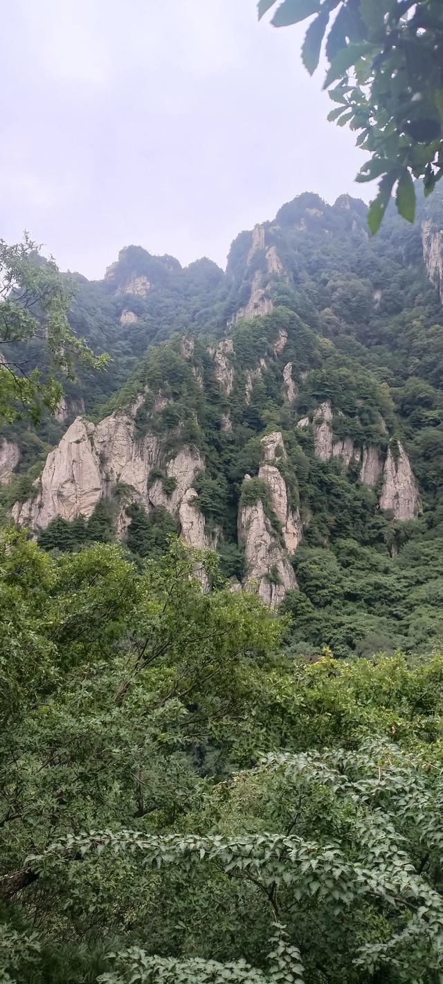王顺山观景台风光