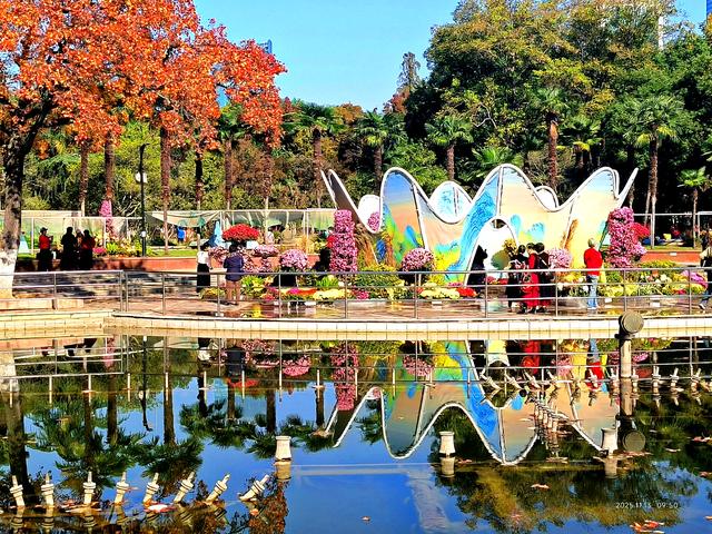 中山公园的菊花