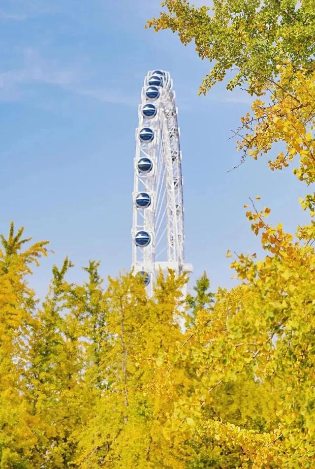 临沂秋日免费打卡全攻略 | 这10个宝藏地遛娃拍照绝了！