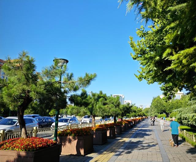 德国美女来中国旅游前备满干粮，落地北京后愣住