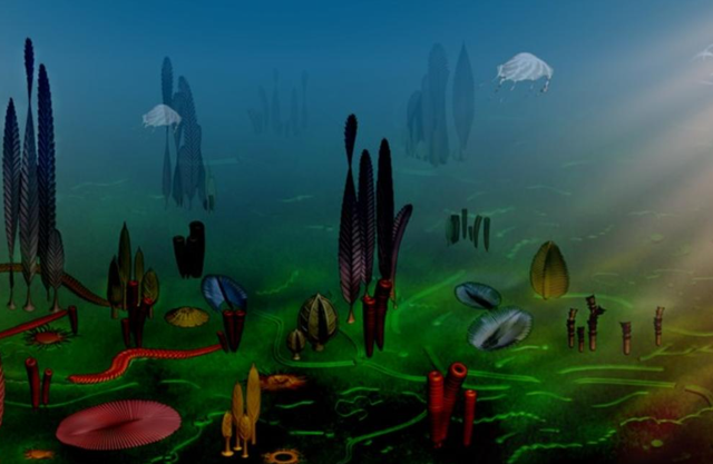 中国人为啥对酸味又爱又恨？一文讲清楚这背后的亿年演化历史