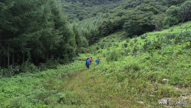 雨后徒步辽阳梨花峪，云雾缭绕｜木栈道、山地草甸、网红秋千