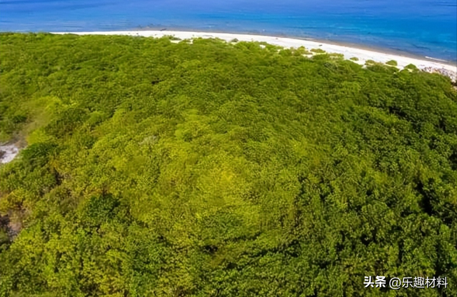 西沙甘泉岛险被越南侵占，岛上有神奇三宝，每样在南海都十分罕见