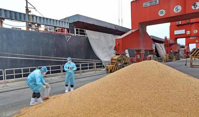 巴西大豆坐地起价？对华报价疯涨	，中国买家集体停购：等两个时机