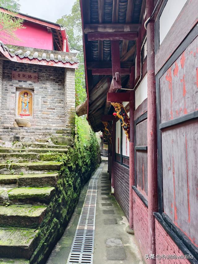 成都徒步（69）·彭州篇⑯法藏寺环线（桥断未走通）