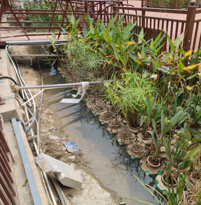 褪色的5A与失真的红色：百色起义纪念园为何背离初心？