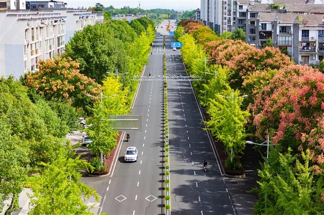 【地名里的垫江】桂溪街道：承载历史记忆的老城区