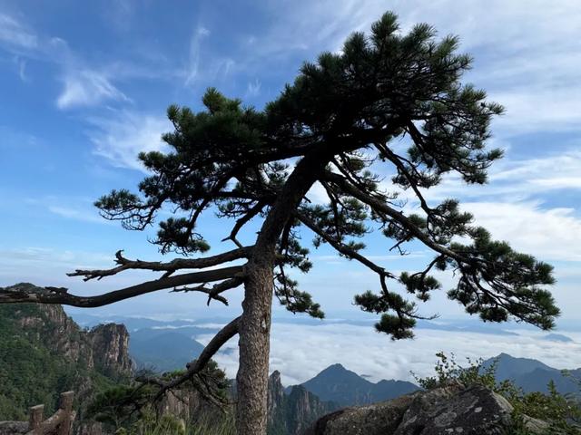 徒步三山五岳：安徽黄山！