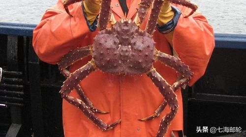 11日北欧追极光 穿越北极圈 圣诞老人村+破冰船+捕帝王蟹+极光邮轮