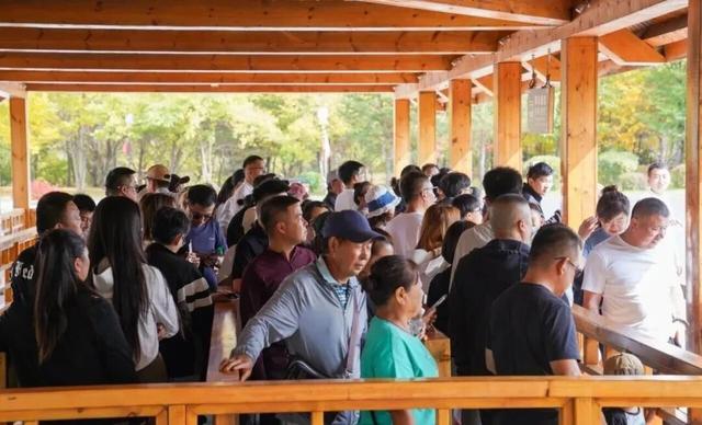 枫染渤海·秋韵敦化丨秋日文旅好戏连台，双节盛宴点亮全域体验