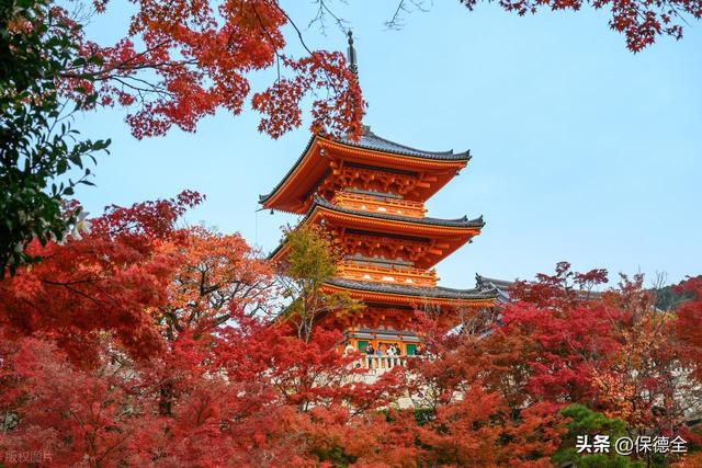 中日航班大面积取消，54万游客撤离日本，旅游业损失超2万亿！