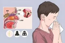 寒性鼻炎流清涕，热性鼻炎流黄涕，哪个补阳哪个清热？图片