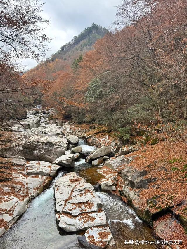 川陕交界之行采风：米仓山层林尽染、金牛道寻古探险