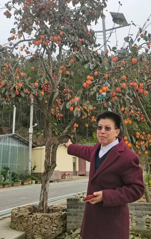 牛蹄岭雾中寻梦-陕西安康红色旅游一