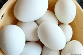 "鹅蛋：稀世珍品还是禁忌之物？揭秘为何少有人敢吃！"图片