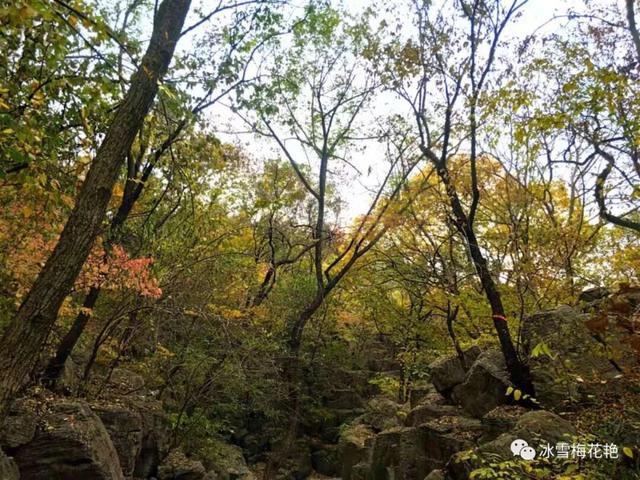 秋游大宗山朗公寺