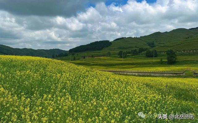 浑源县东葫芦头村：油菜花海引客来 清凉乡村醉游人