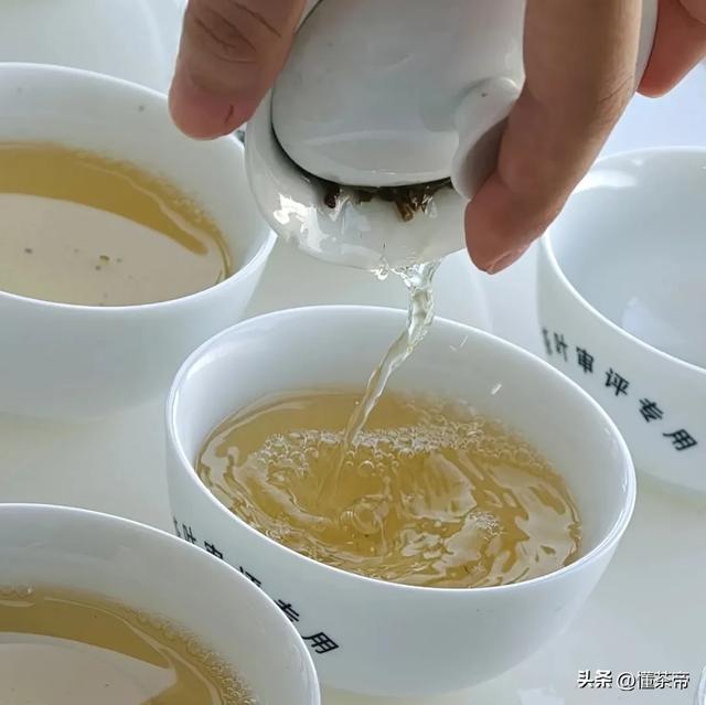 史上最全普洱茶盖碗冲泡测评！不同普洱茶怎么泡最好喝？