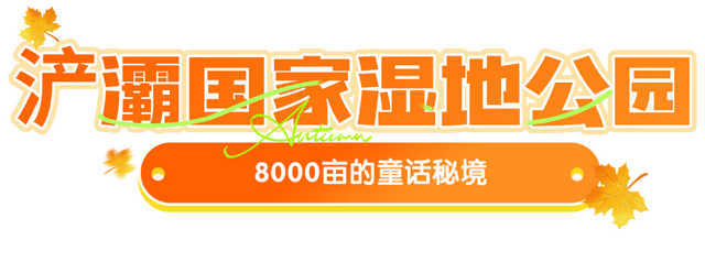 西安城区4个绝美秋景打卡地！