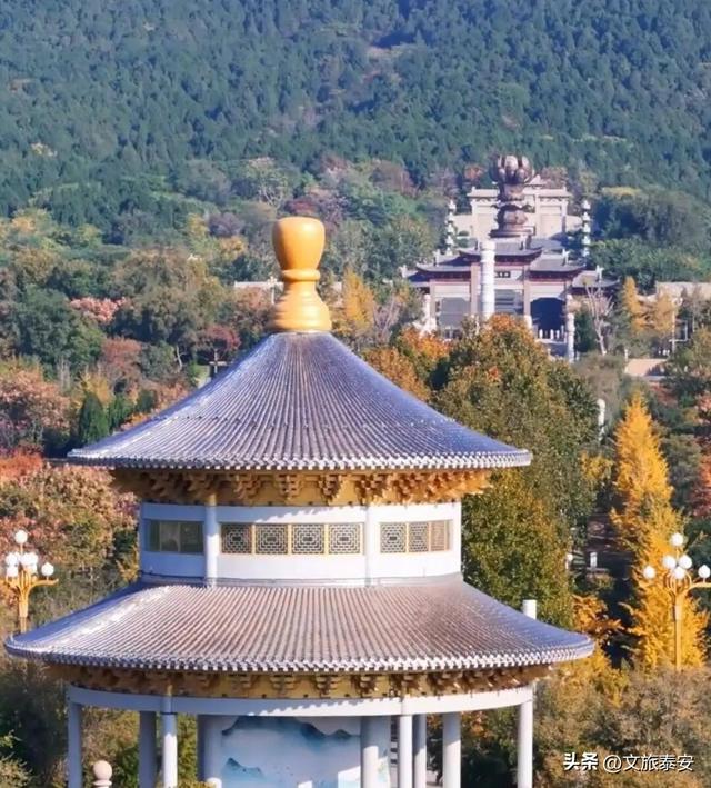 重阳至，来看泰安“登高”全攻略！