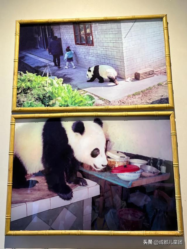 常被路过的雅安，值得专门去玩一趟