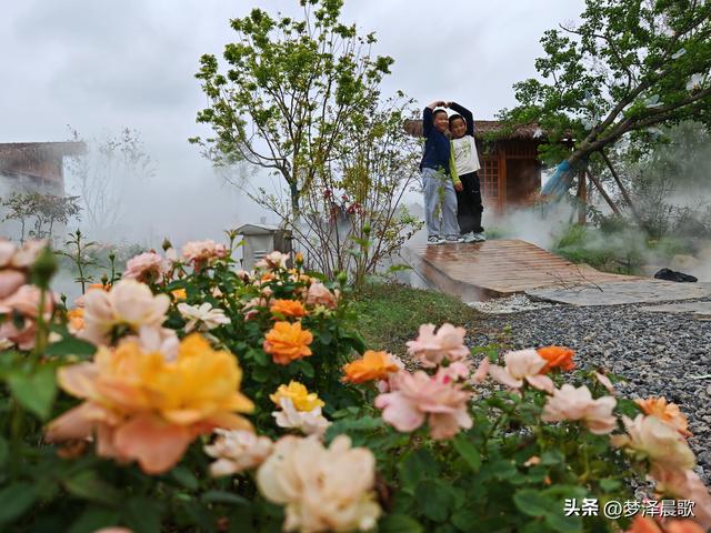 云梦仙境花开十月花雾醉游人