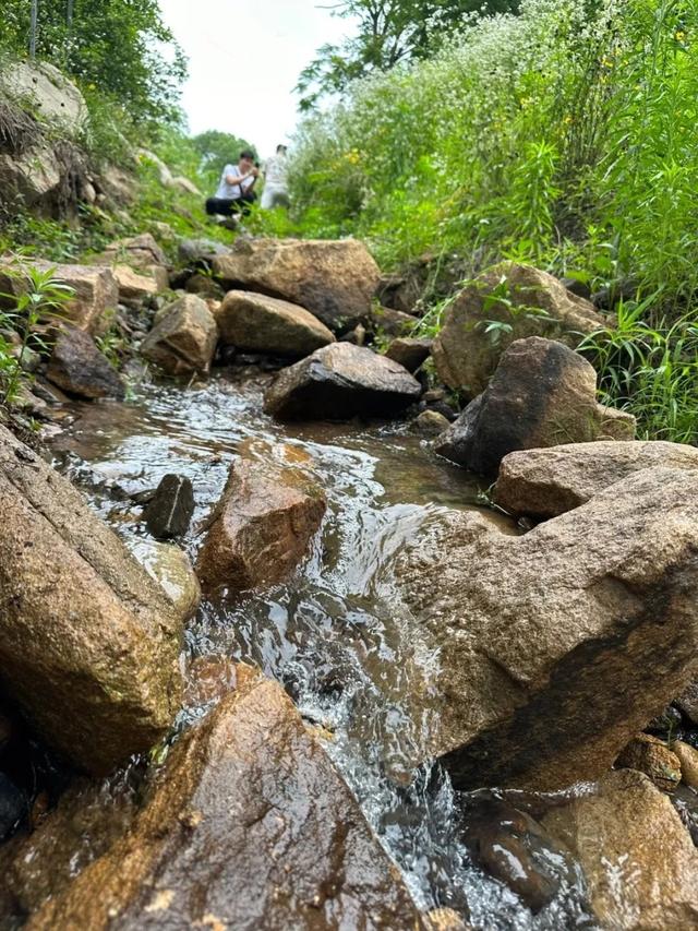 苏州这些地方只有27℃！进来“划水”！