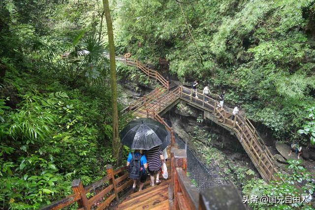 “渝黔生物基因库”黑山谷游记