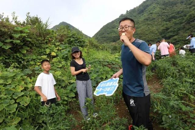 “山村收菜计划”再升级！杭城一批亲子家庭上周末驱车200公里赶到这个海拔600多米的小山村……