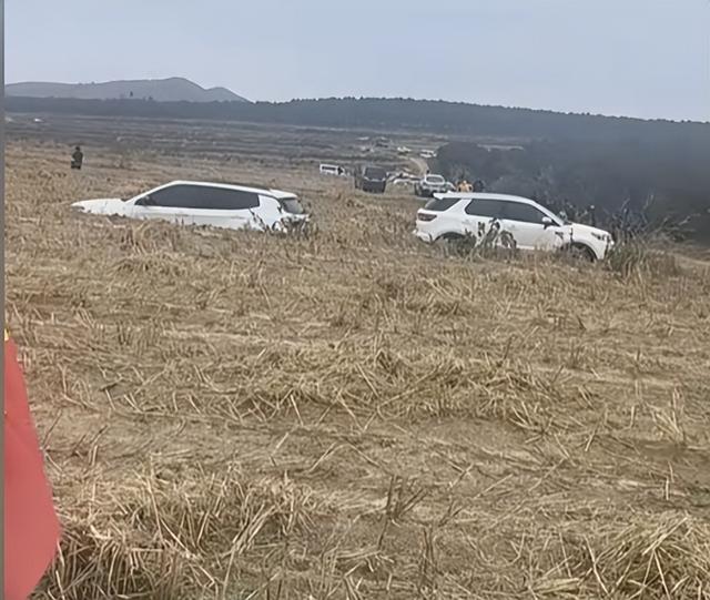 辽宁4岁失踪女童找到！在隔壁村山沟，离失踪地10公里，细节曝光