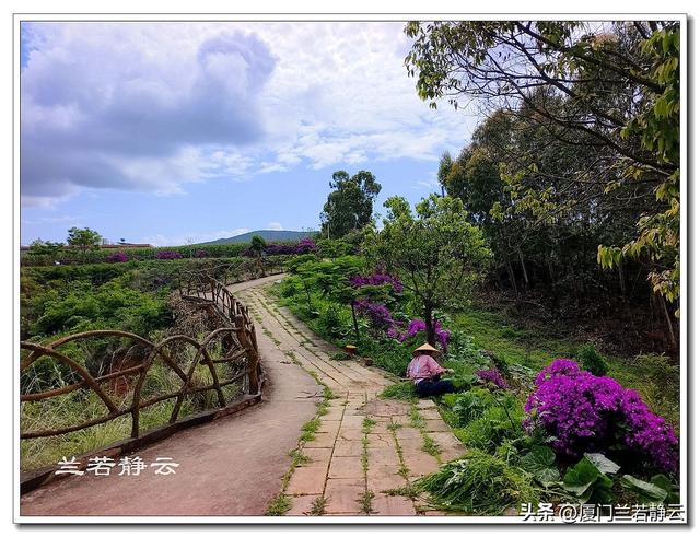 云南楚雄：元谋浪巴铺土林的地质奇观（含攻略）