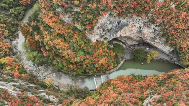 这才是秋天该有的样子~