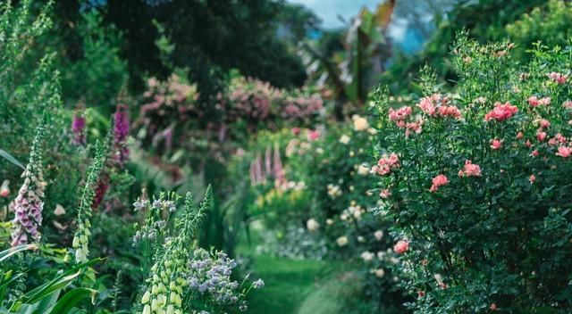 两性关系；不管你信不信，女人过54岁，都有如下7个症状，要接受