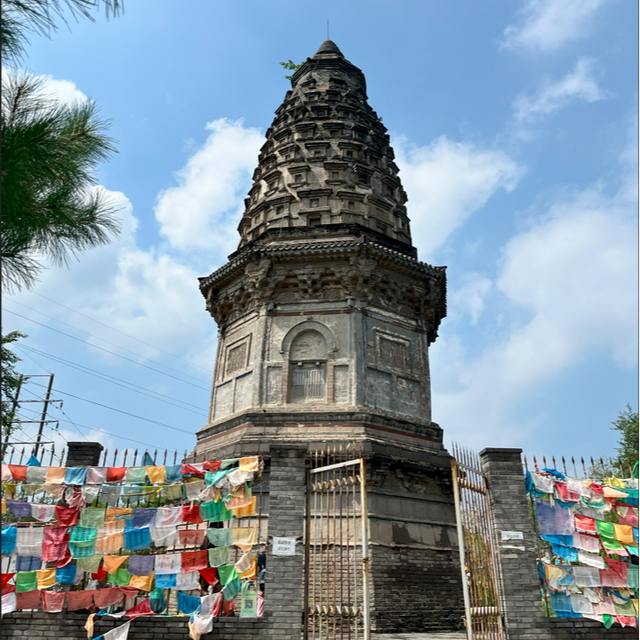 年度盘点：2025年丰台出彩瞬间