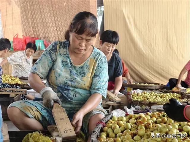 宣城有个“甜蜜小镇”！
