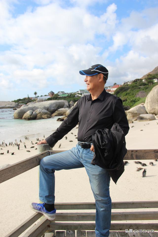 南部非洲：南非开普敦企鹅岛