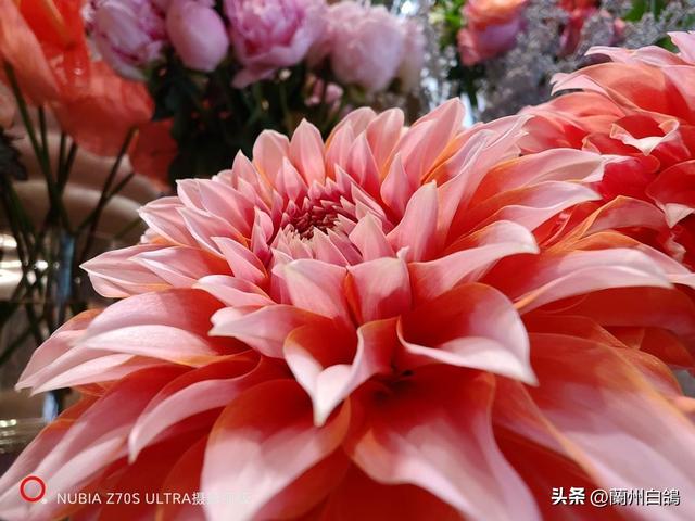 人文之神：努比亚 Z70S Ultra 摄影师版上手体验
